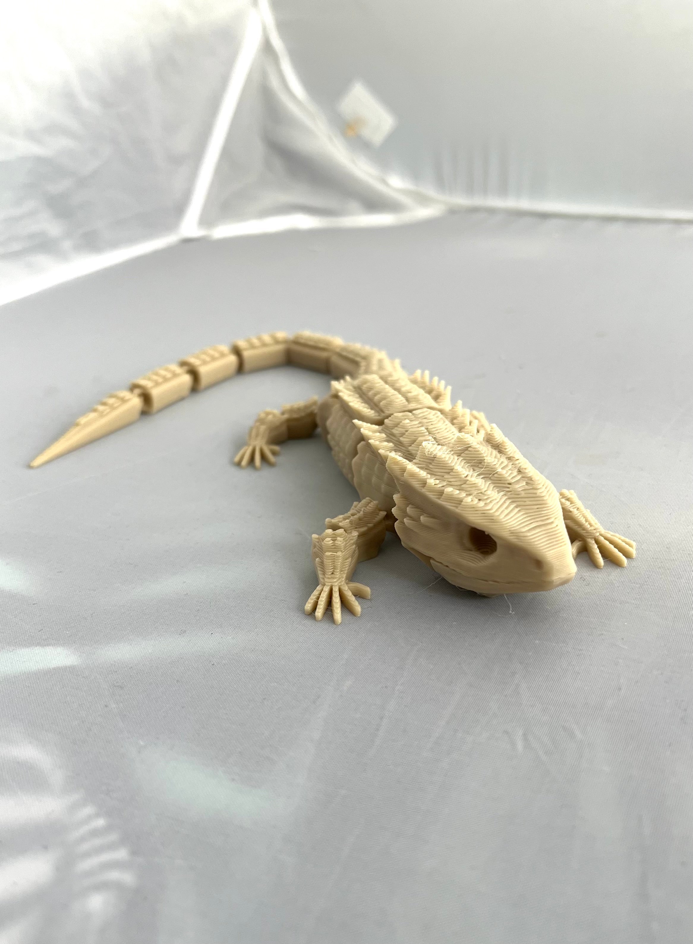 Lizard