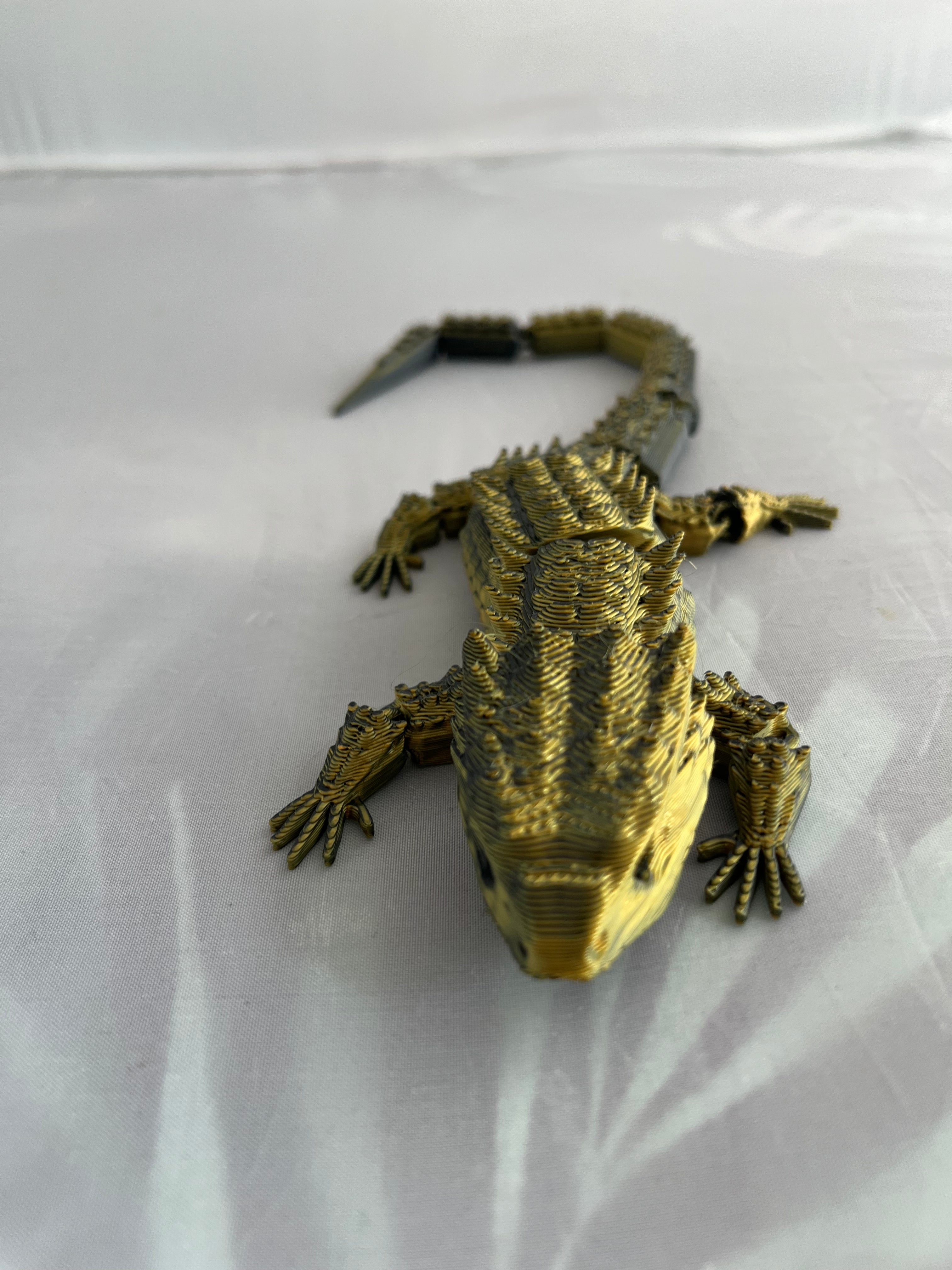 Lizard