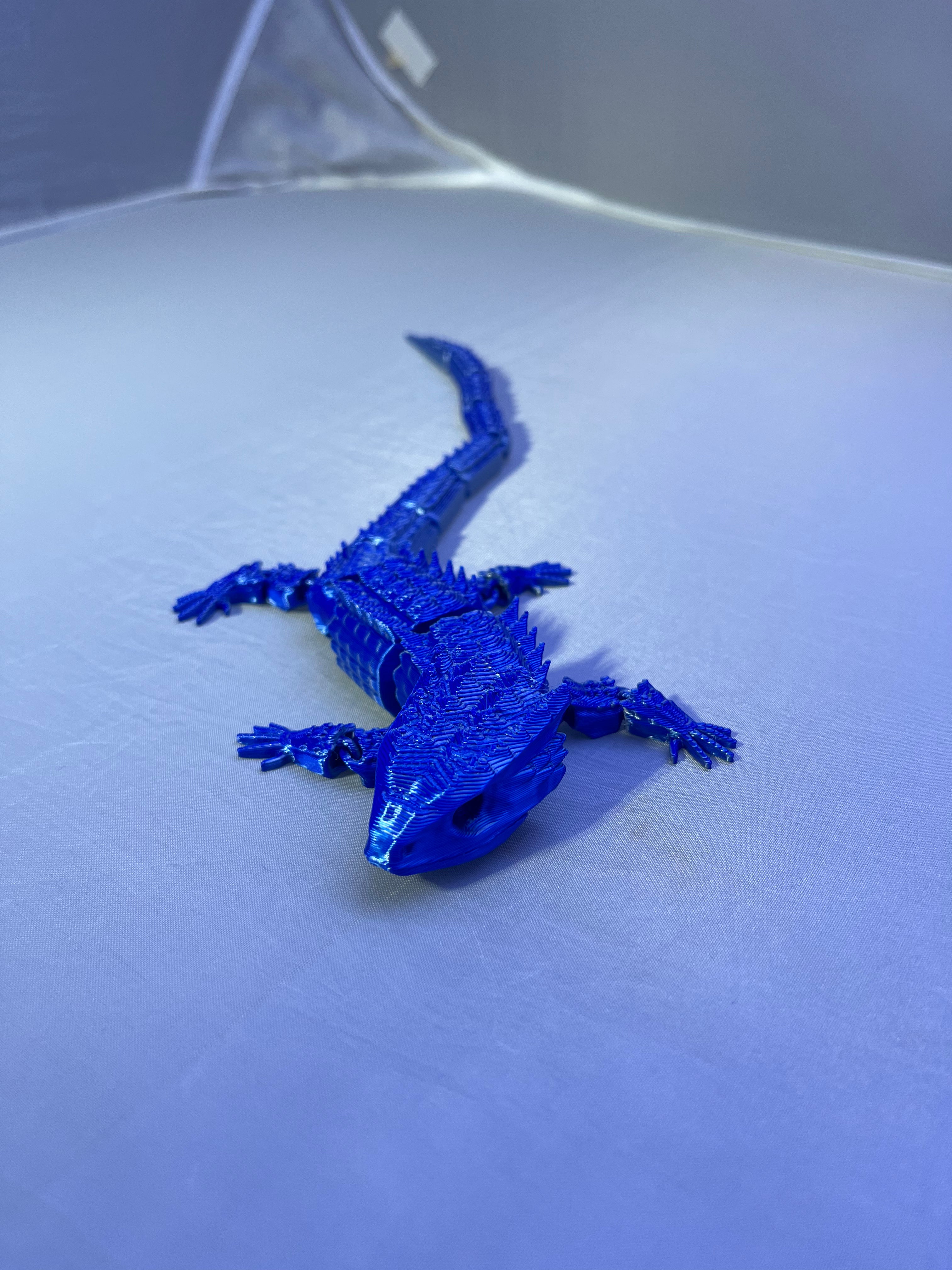 Lizard