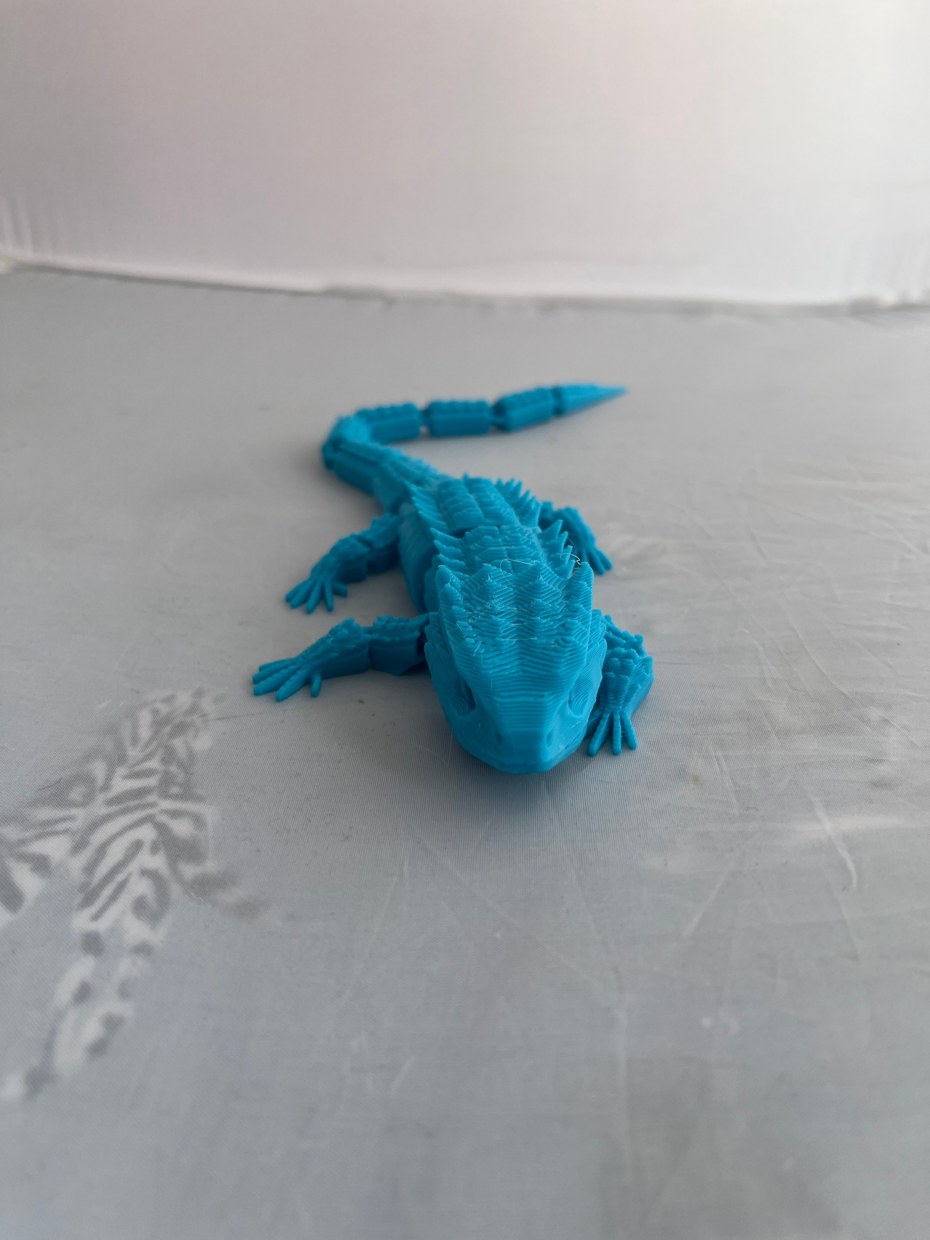 Lizard