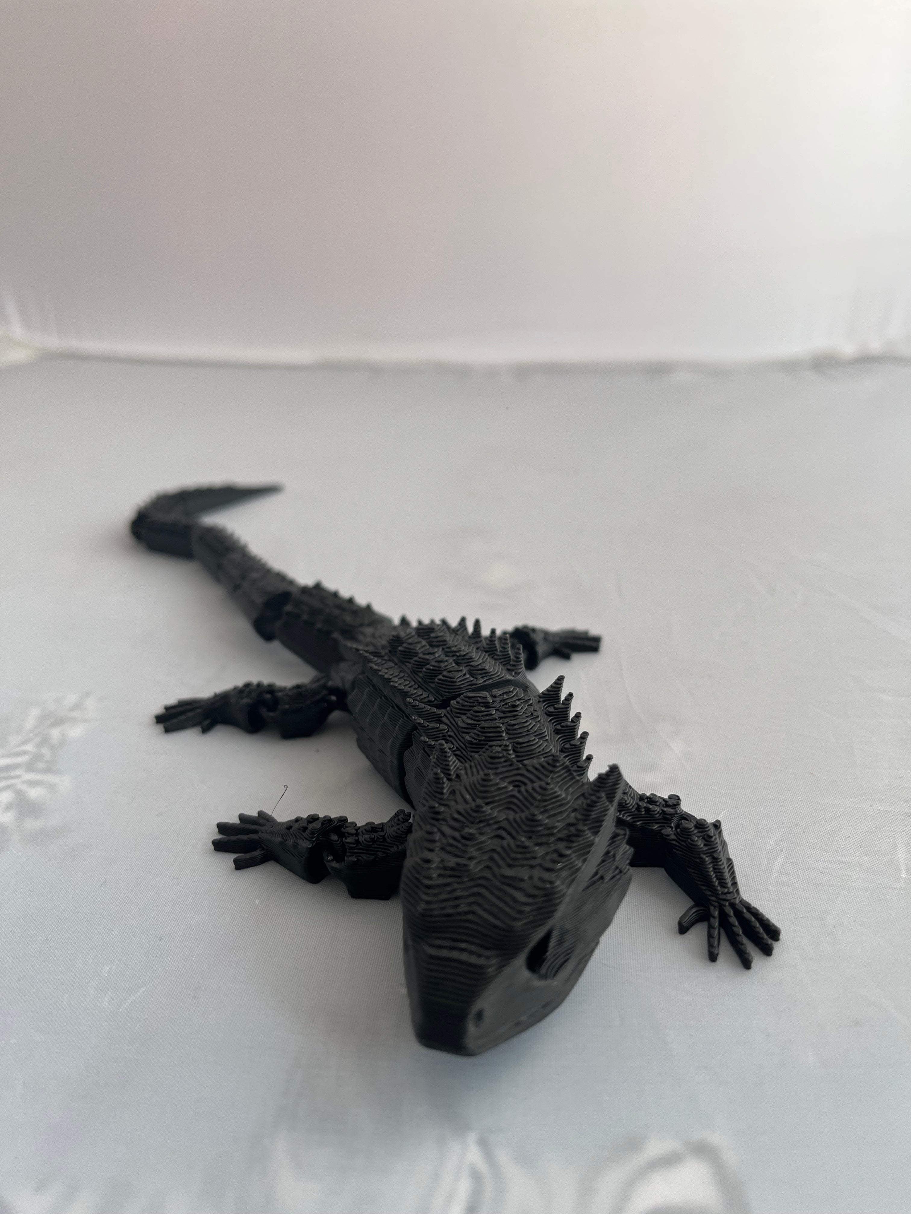 Lizard