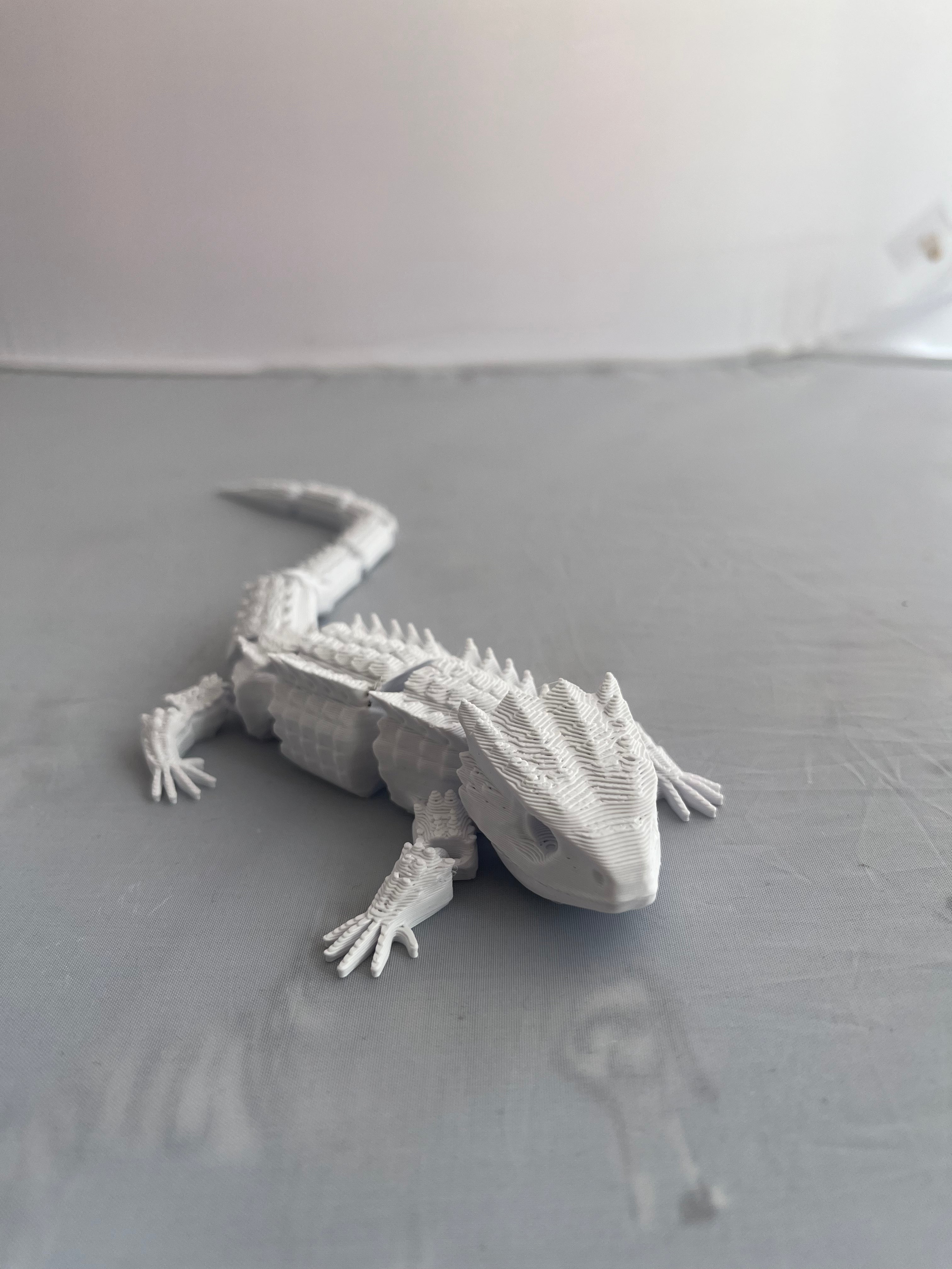 Lizard