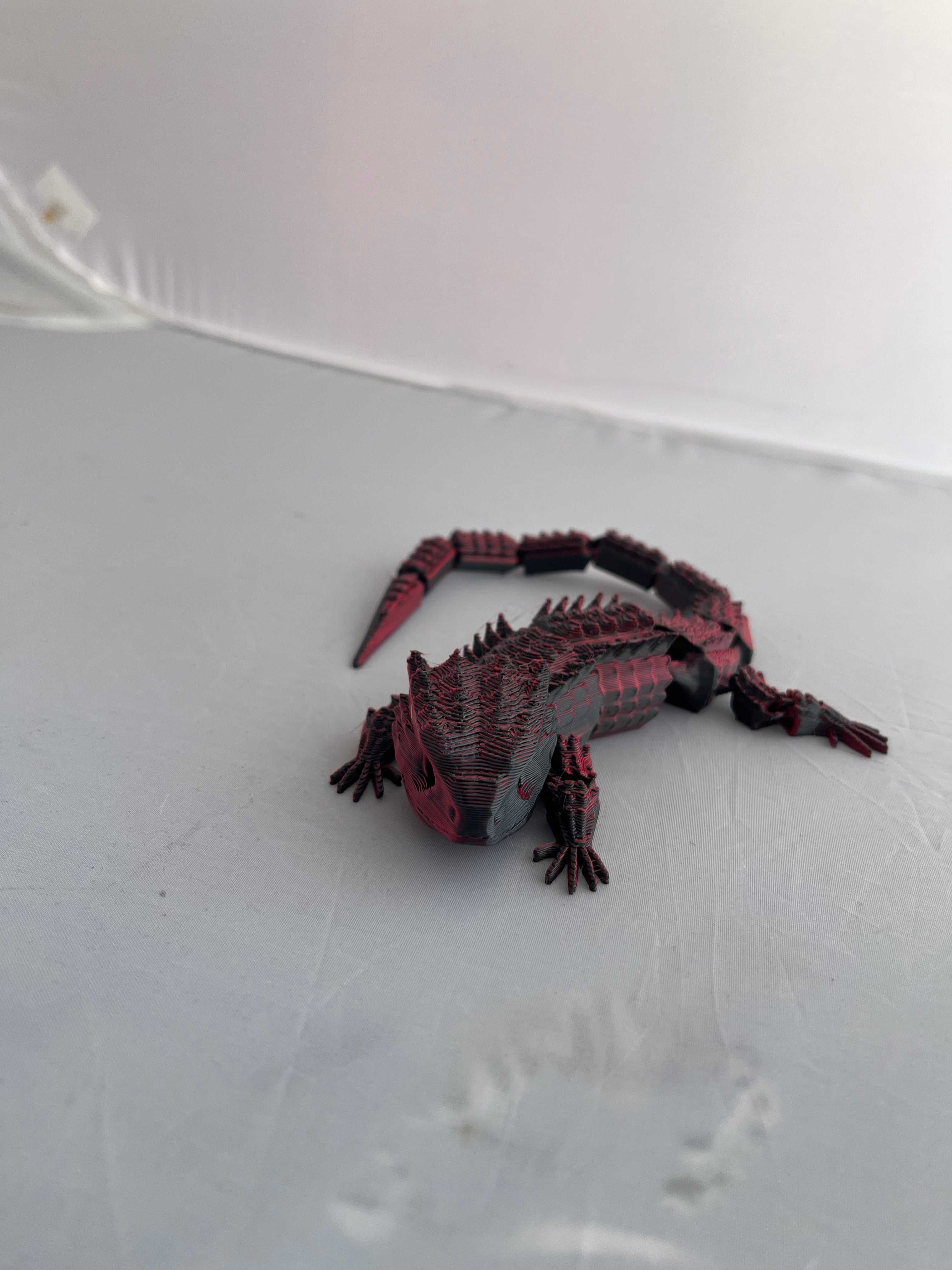 Lizard